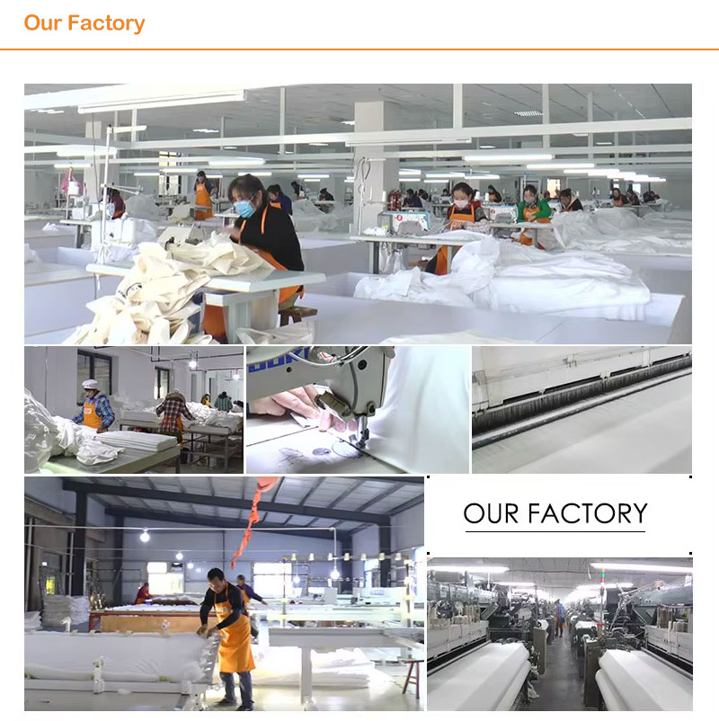 our factory